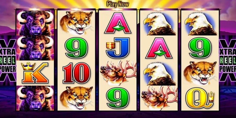 Introduction to buffalo slots game