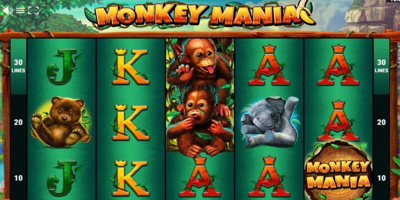 Basic way to play monkey slots game for beginners